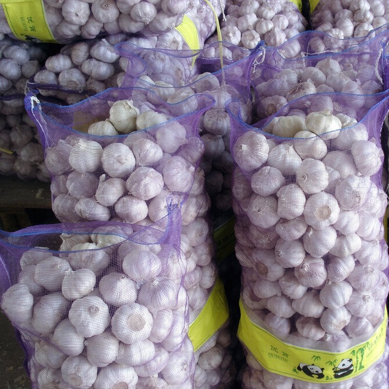 Fresh Garlic